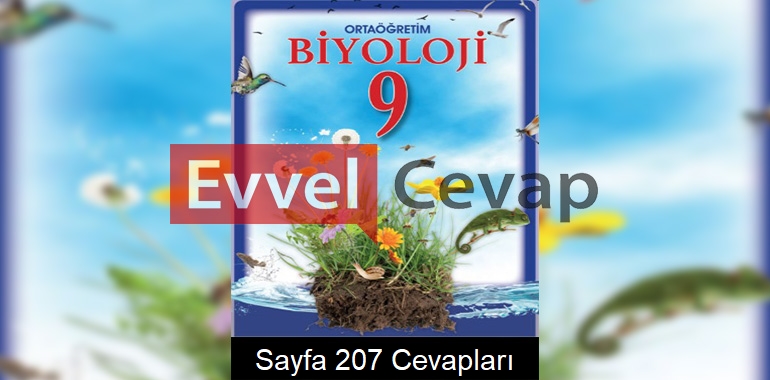 9. Sınıf Biyoloji Meb Yayınları Ders Kitabı Cevapları Sayfa 207
