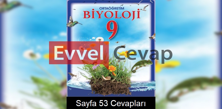 9. Sınıf Biyoloji Meb Yayınları Ders Kitabı Cevapları Sayfa 53