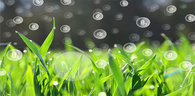 Atmosferdeki Oksijen Oranı Nasıl Sabit Kalıyor?