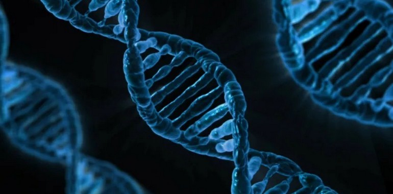 DNA'nın Yapısı Nasıldır? "Çift Sarmal" Ne Demek?