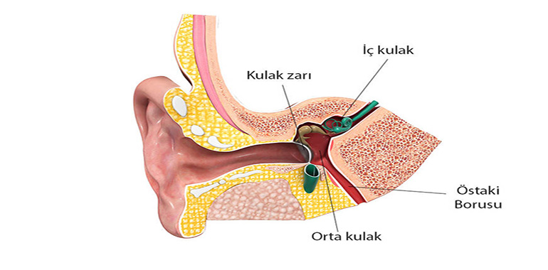 Kulak Eşitleme Nedir, Dalgıçlar Su Altında Kulaklarını Nasıl Eşitler?