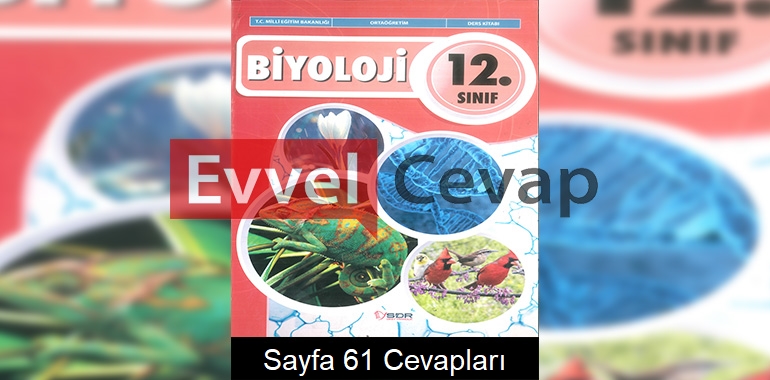 12. Sınıf Biyoloji Ders Kitabı Cevapları SDR Dikey Yayınları Sayfa 61