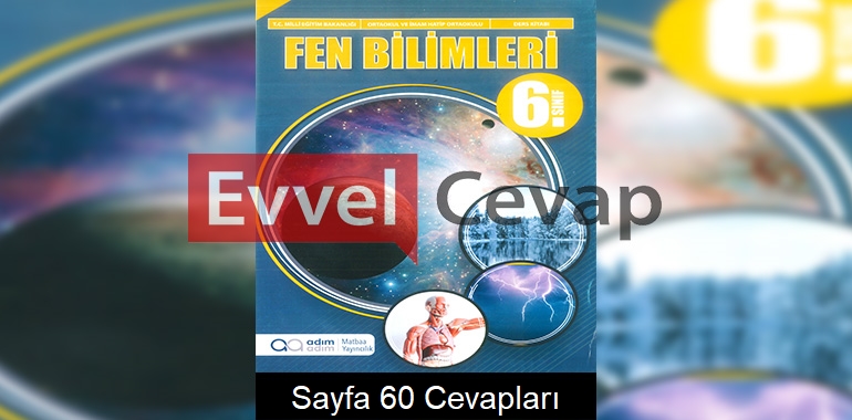 6. Sınıf Fen Bilimleri Ders Kitabı Cevapları Adım Adım Matbaa Yayıncılık Sayfa 60