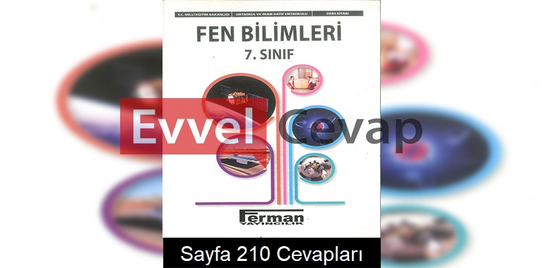 7. Sınıf Fen Bilimleri Ders Kitabı Cevapları Ferman Yayıncılık Sayfa 210