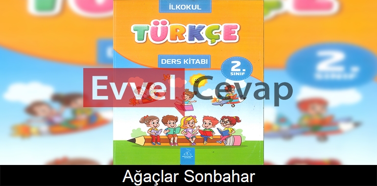 Ağaçlar Sonbahar Dinleme Metni Etkinlik Cevapları (2. Sınıf Türkçe)