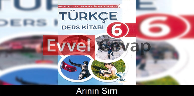 Arının Sırrı Serbest Okuma Metni Etkinlik Cevapları (6. Sınıf Türkçe)