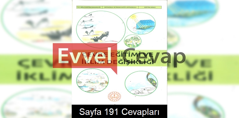 Çevre Eğitimi ve İklim Değişikliği Ders Kitabı Cevapları Meb Yayınları Sayfa 191