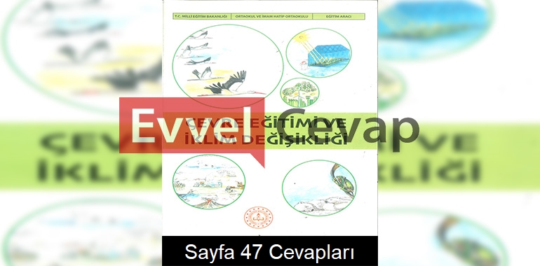 Çevre Eğitimi ve İklim Değişikliği Ders Kitabı Cevapları Meb Yayınları Sayfa 47