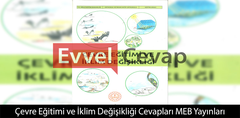 Öğrencilerden hangisi doğru yorumda bulunmuştur?