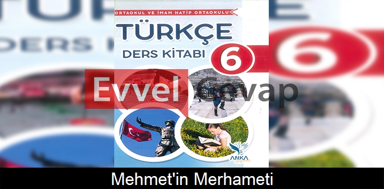 Mehmet’in Merhameti Metni Etkinlik Cevapları (6. Sınıf Türkçe)