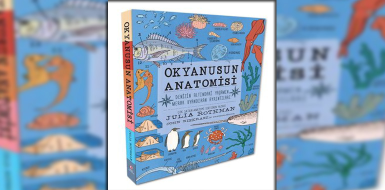Okyanusun Anatomisi - Denizin Altındaki Yaşamın Merak Uyandıran Ayrıntıları Kitap Özeti Julia Rothman