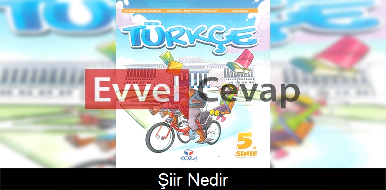 Şiir Nedir? Metni Etkinlik Cevapları (5. Sınıf Türkçe)
