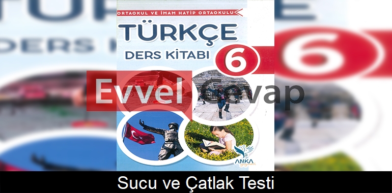 Sucu ve Çatlak Testi Dinleme/İzleme Metni Etkinlik Cevapları (6. Sınıf Türkçe)