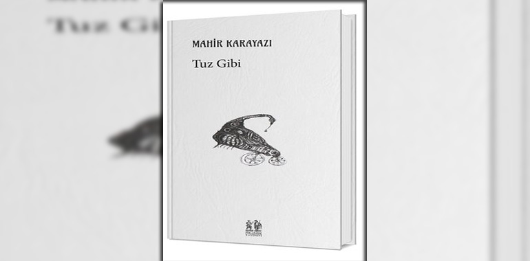 Tuz Gibi Kitap Özeti Mahir Karayazı