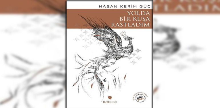 Yolda Bir Kuşa Rastladım Kitap Özeti Hasan Kerim Güç