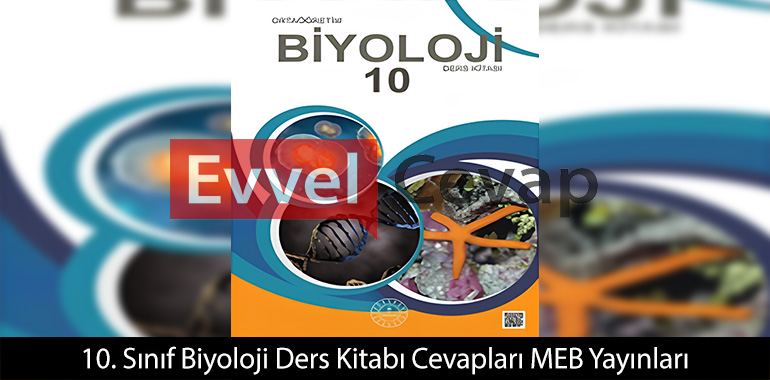 Hücre döngüsünün kontrollü gerçekleşmesi neden önemlidir?