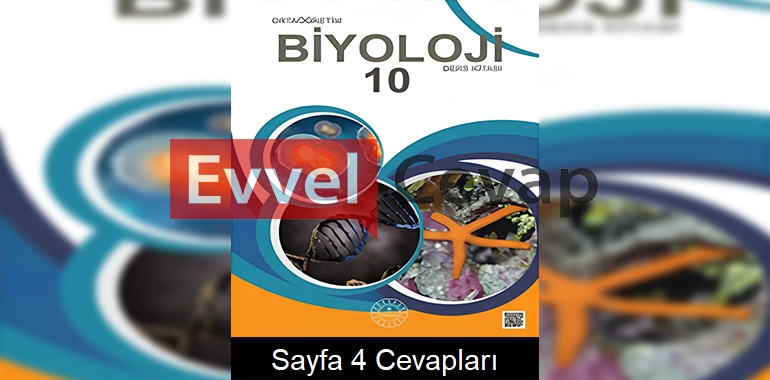 10. Sınıf Biyoloji Kitabı Cevapları Meb Yayınları Sayfa 4