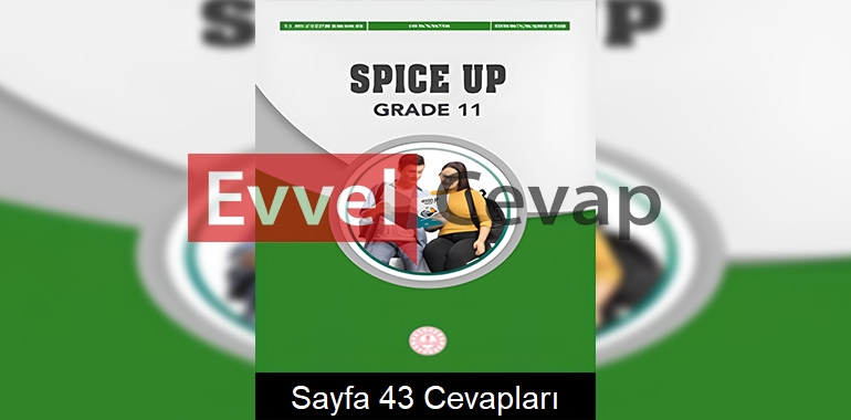 11. Sınıf İngilizce Spice Up Çalışma Kitabı Cevapları Sayfa 43