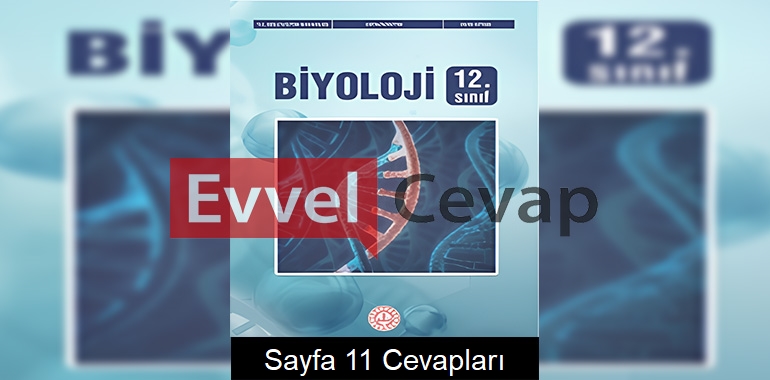 12. Sınıf Biyoloji Ders Kitabı Cevapları Meb Yayınları Sayfa 11