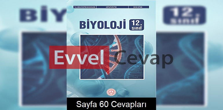 12. Sınıf Biyoloji Ders Kitabı Cevapları Meb Yayınları Sayfa 60