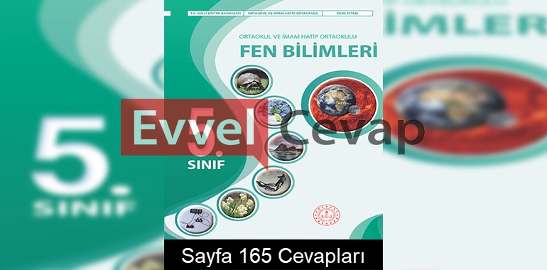 5. Sınıf Fen Bilimleri Kitabı Cevapları Meb Yayınları Sayfa 165