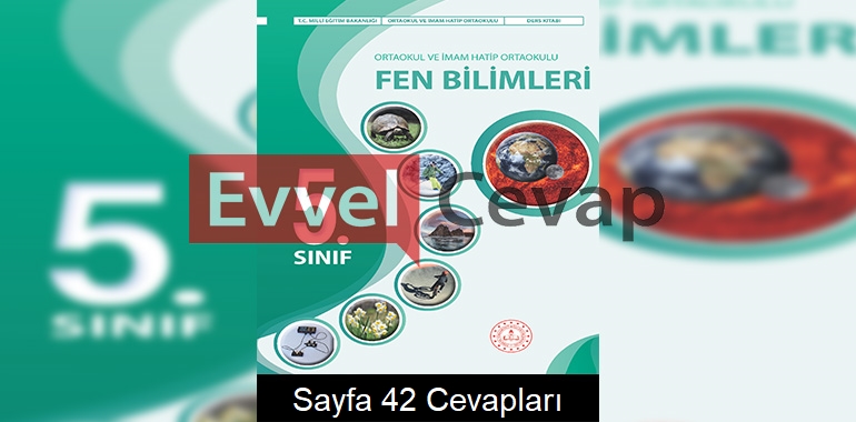 5. Sınıf Fen Bilimleri Kitabı Cevapları Meb Yayınları Sayfa 42
