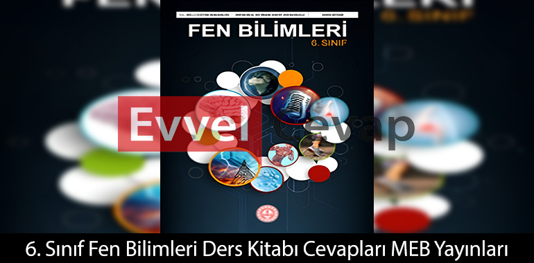 Cıvata ve taş suda battı mı? Nedenini açıklayınız.
