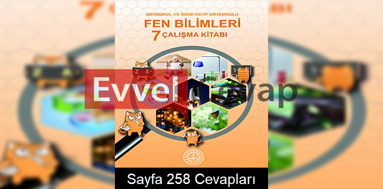 7. Sınıf Fen Bilimleri Çalışma Kitabı Cevapları Meb Yayınları Sayfa 258