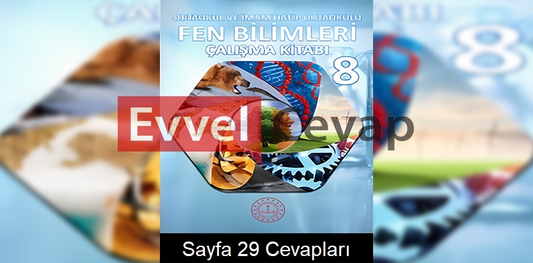 8. Sınıf Fen Bilimleri Çalışma Kitabı Cevapları Meb Yayınları Sayfa 29
