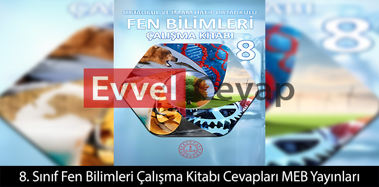 Bu yorumlardan hangileri doğrudur?
