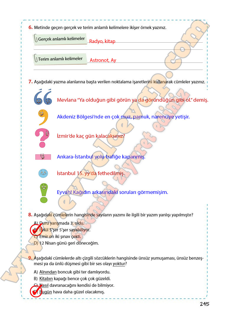 5-sinif-turkce-ders-kitabi-cevaplari-koza-yayinlari-sayfa-245