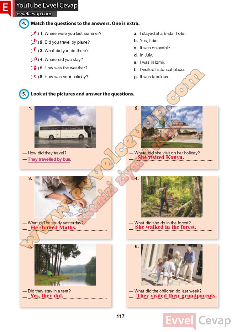 6-sinif-ingilizce-ders-kitabi-cevabi-hecce-yayinlari-sayfa-117