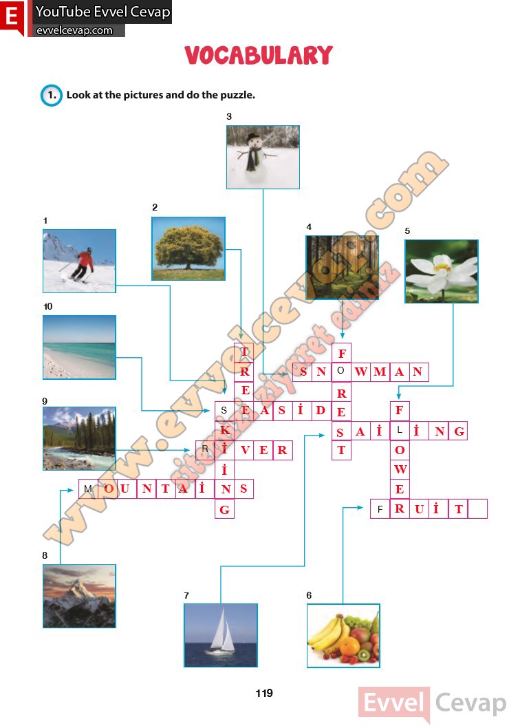 6-sinif-ingilizce-ders-kitabi-cevabi-hecce-yayinlari-sayfa-119