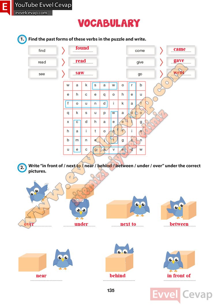 6-sinif-ingilizce-ders-kitabi-cevabi-hecce-yayinlari-sayfa-135
