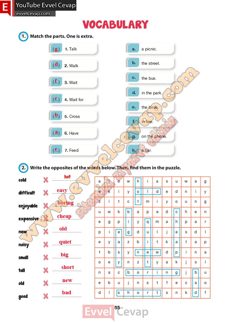 6-sinif-ingilizce-ders-kitabi-cevabi-hecce-yayinlari-sayfa-55