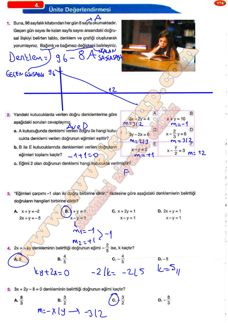8-sinif-matematik-ders-kitabi-cevaplari-berkay-yayinlari-sayfa-174