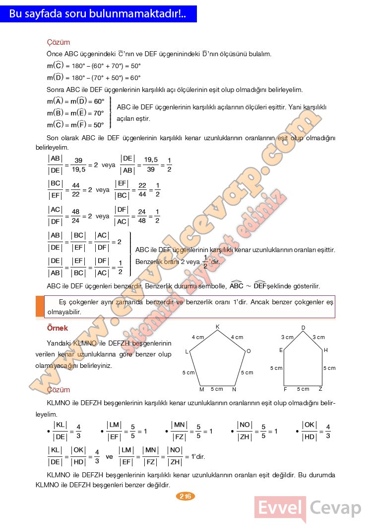 8-sinif-matematik-ders-kitabi-cevabi-berkay-yayinlari-sayfa-216
