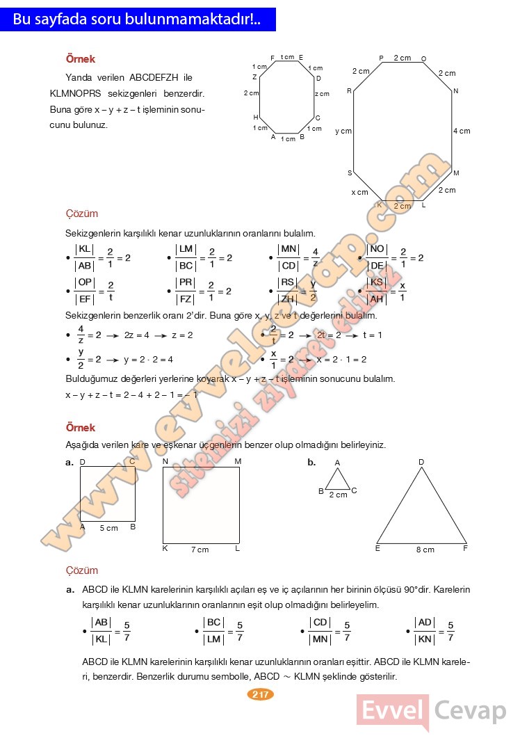 8-sinif-matematik-ders-kitabi-cevabi-berkay-yayinlari-sayfa-217