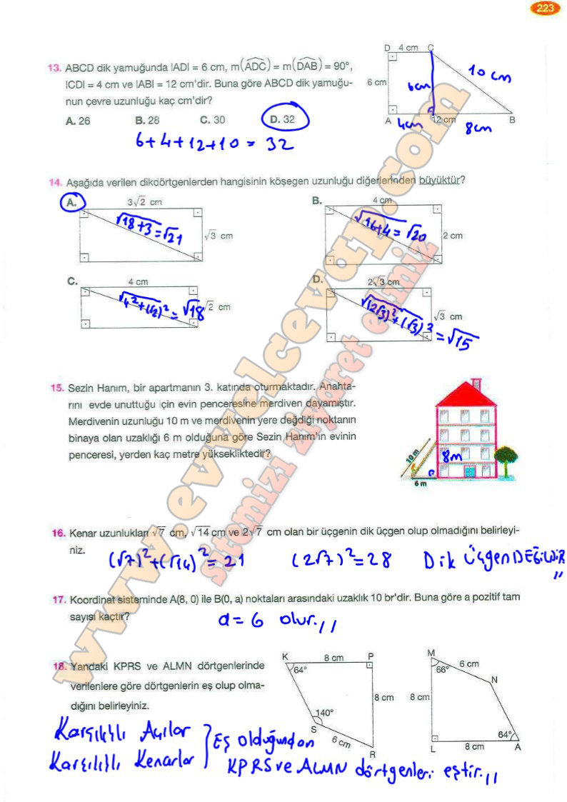8-sinif-matematik-ders-kitabi-cevabi-berkay-yayinlari-sayfa-223