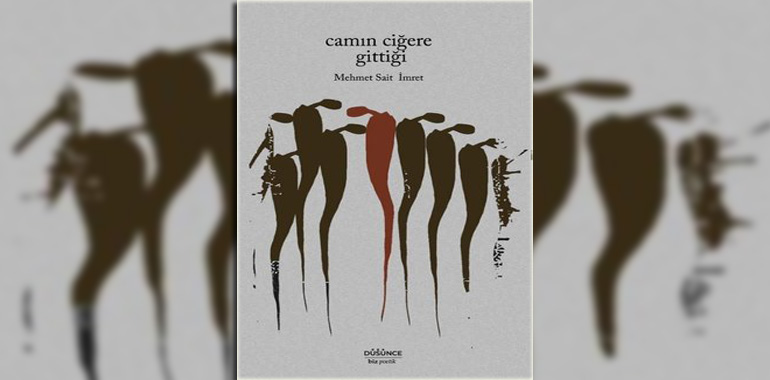 Camın Ciğere Gittiği Kitap Özeti Mehmet Sait İmret