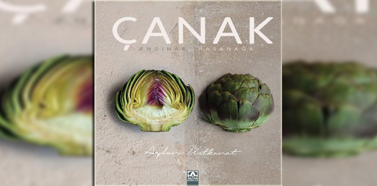 Çanak - Enginar Hasanağa Kitap Özeti Aydan Üstkanat