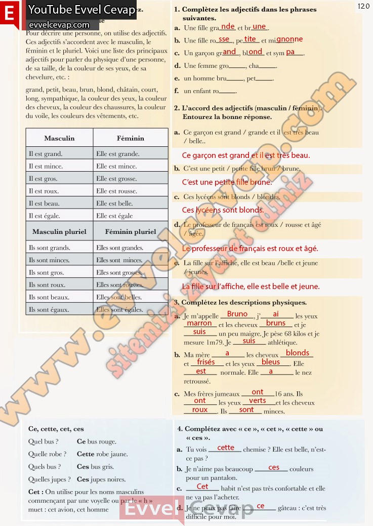 fransizca-a1-1-ders-kitabi-cevabi-meb-yayinlari-sayfa-120