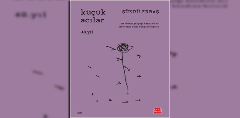 Küçük Acılar - 40. Yıl Kitap Özeti Şükrü Erbaş