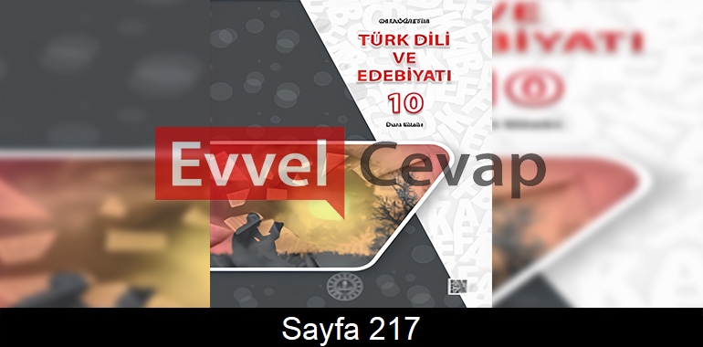 10. Sınıf Meb Yayınları Türk Dili ve Edebiyatı Ders Kitabı Cevapları Sayfa 217