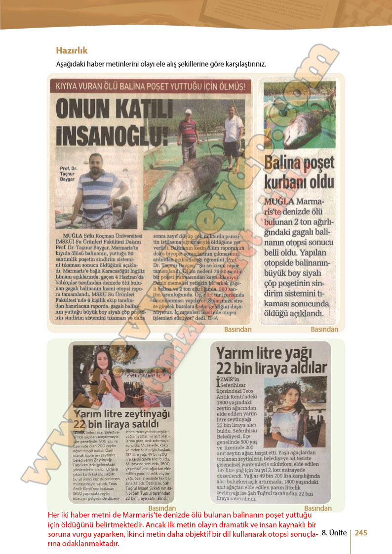 10-sinif-turk-dili-ve-edebiyati-ders-kitabi-cevabi-meb-yayinlari-sayfa-245