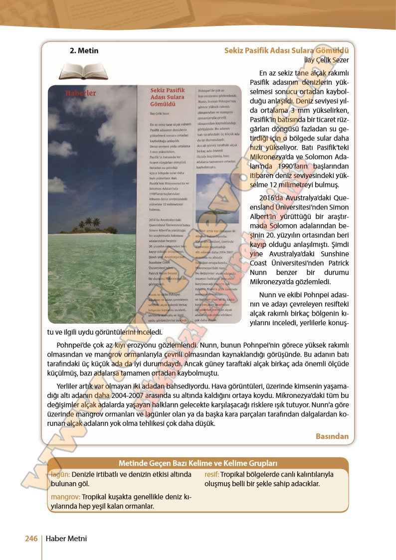 10-sinif-turk-dili-ve-edebiyati-ders-kitabi-cevabi-meb-yayinlari-sayfa-246