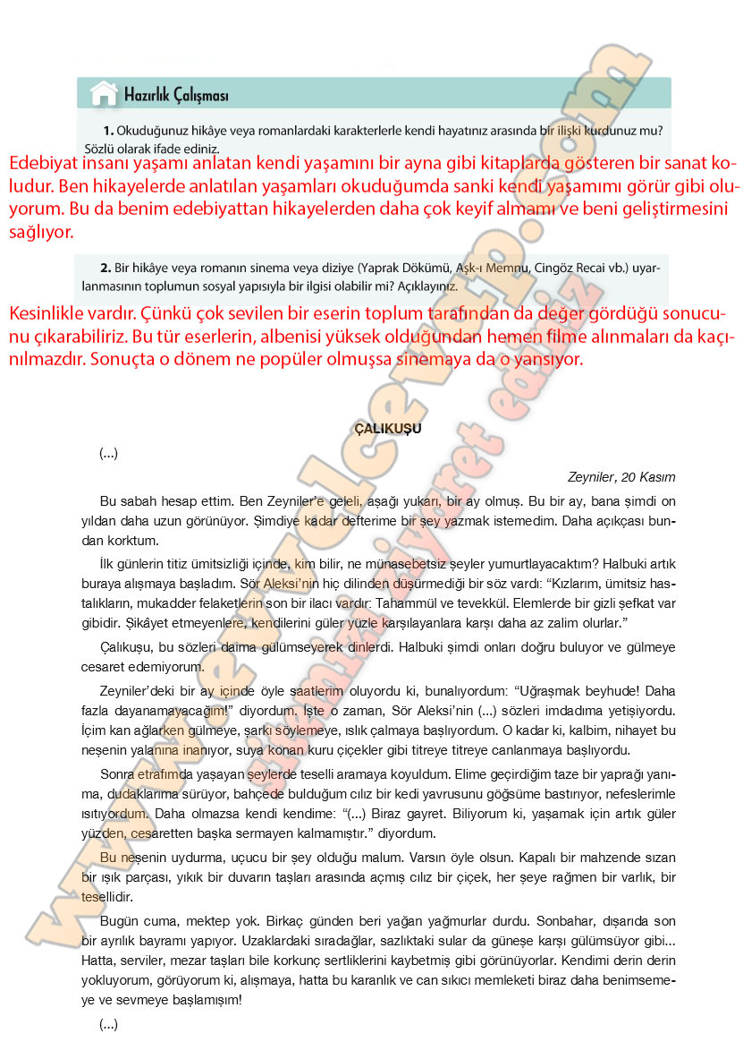 11-sinif-turk-dili-ve-edebiyati-ders-kitabi-cevabi-cem-yayinlari-sayfa-12