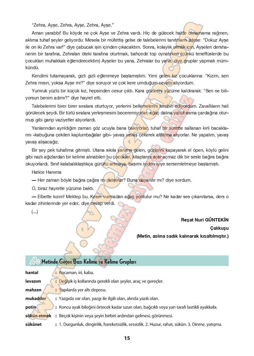 11-sinif-turk-dili-ve-edebiyati-ders-kitabi-cevabi-cem-yayinlari-sayfa-15