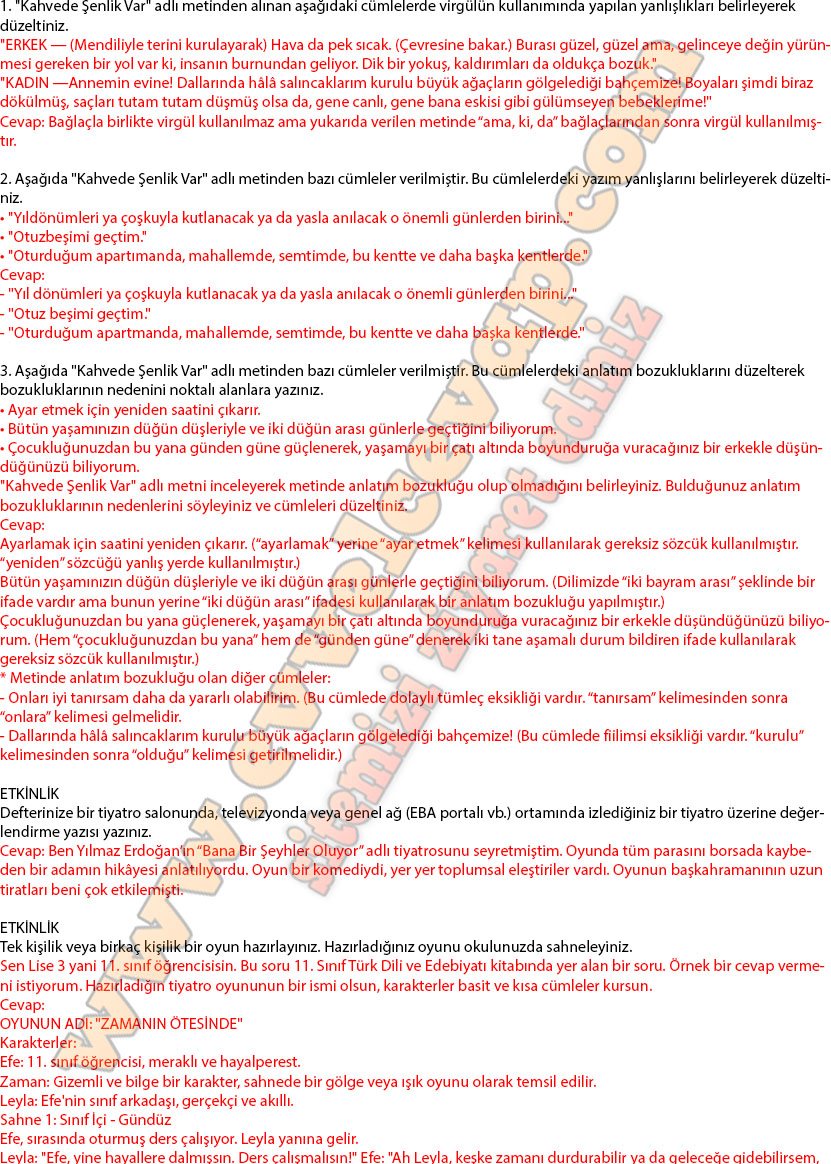 11-sinif-turk-dili-ve-edebiyati-ders-kitabi-cevabi-cem-yayinlari-sayfa-224