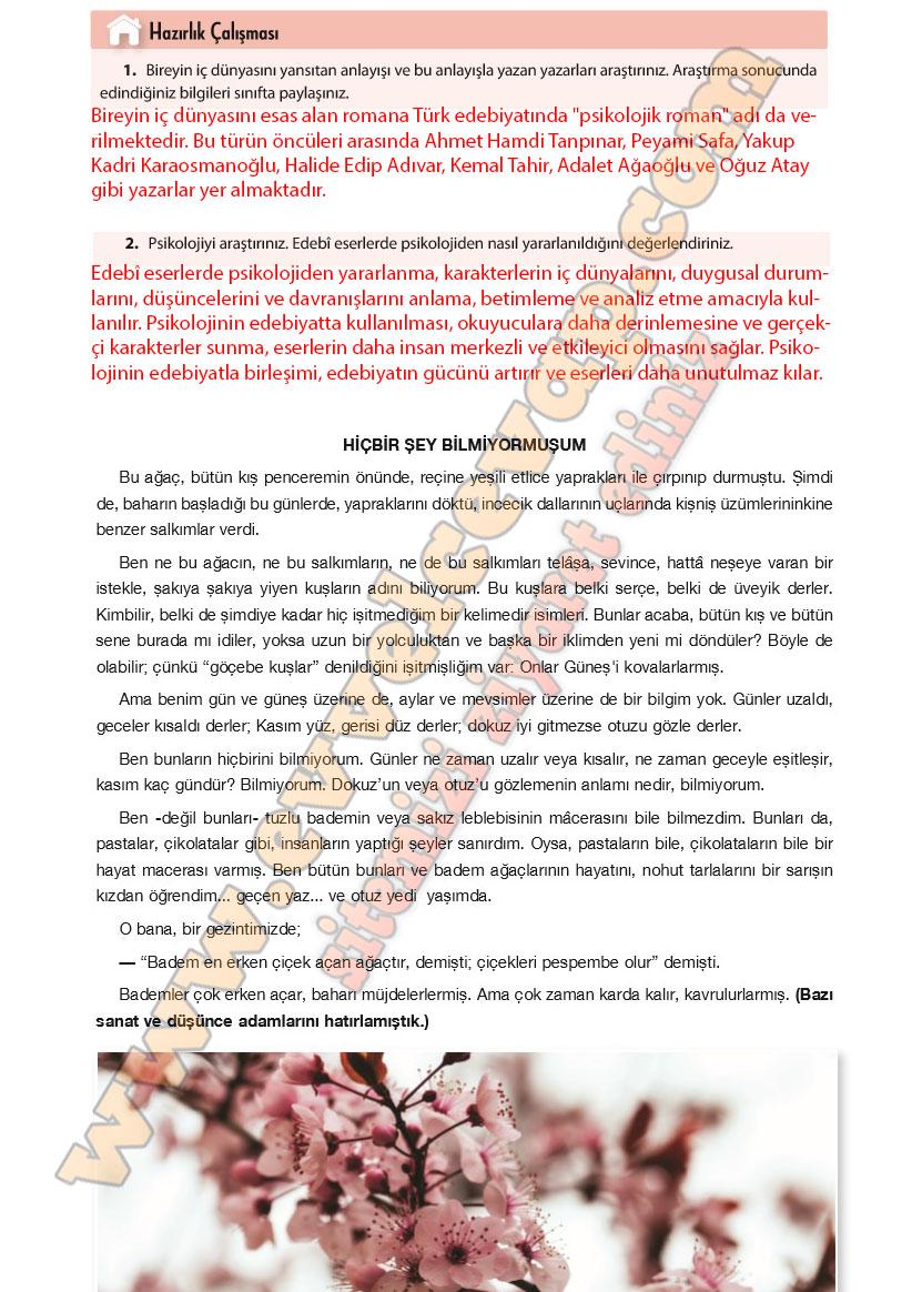 11-sinif-turk-dili-ve-edebiyati-ders-kitabi-cevabi-cem-yayinlari-sayfa-45